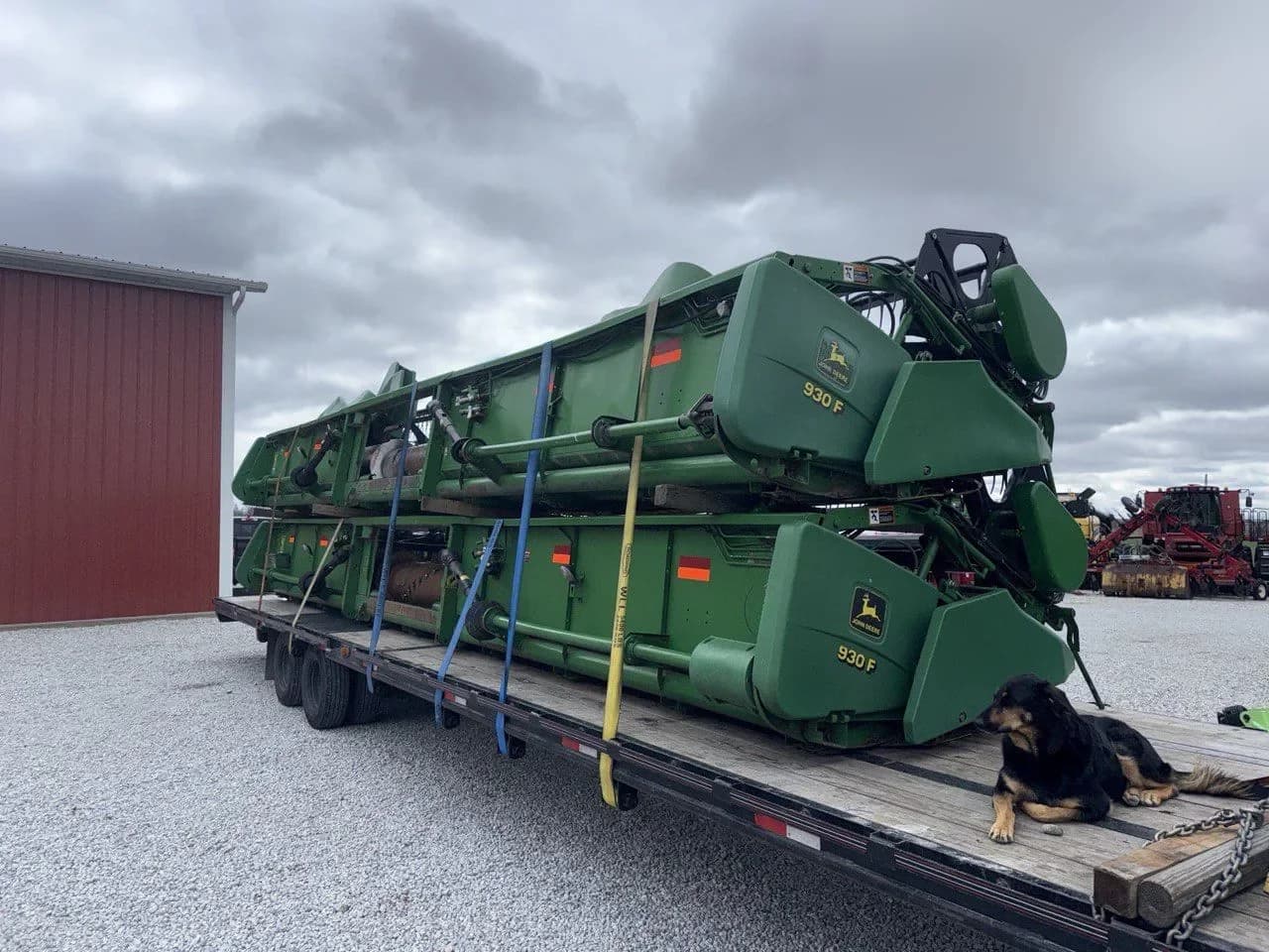 Two John Deere 930F headers stacked on a gooseneck trailer with straps, and a dog lying on the deck